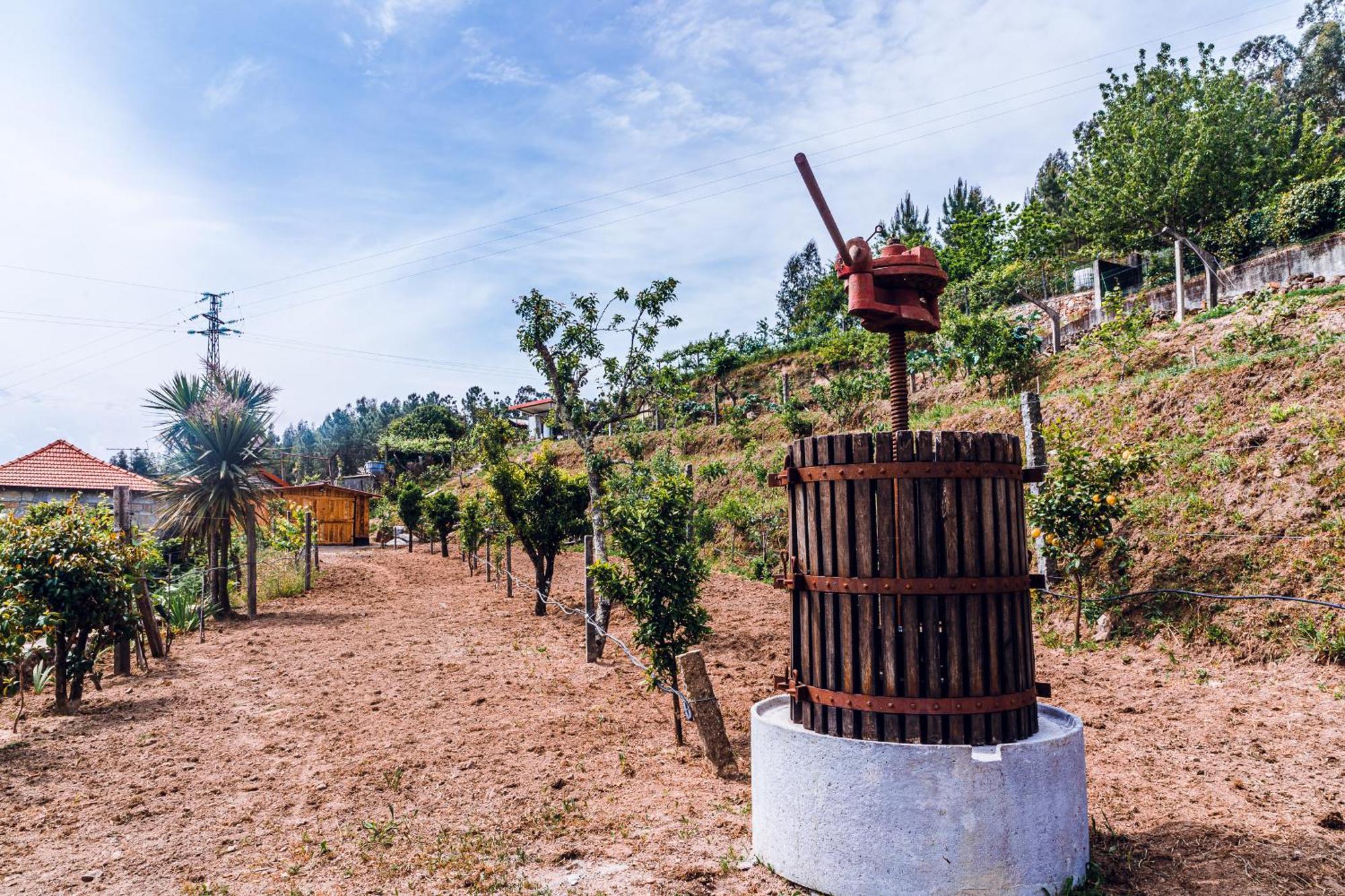 A Casa Dos Avos Konuk evi Celorico De Basto Dış mekan fotoğraf